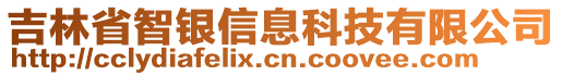 吉林省智銀信息科技有限公司