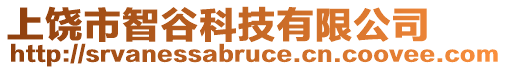 上饒市智谷科技有限公司