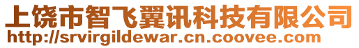 上饒市智飛翼訊科技有限公司