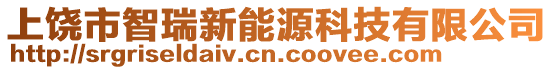 上饒市智瑞新能源科技有限公司