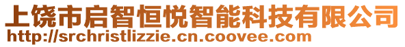 上饒市啟智恒悅智能科技有限公司