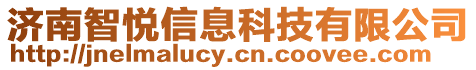 濟南智悅信息科技有限公司