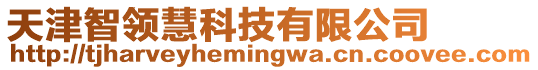 天津智領(lǐng)慧科技有限公司