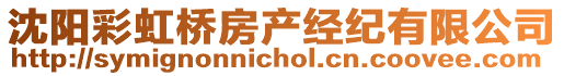 沈陽彩虹橋房產(chǎn)經(jīng)紀(jì)有限公司