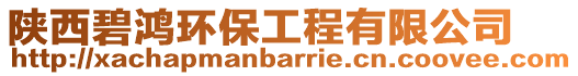 陜西碧鴻環(huán)保工程有限公司