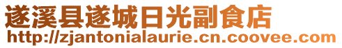 遂溪縣遂城日光副食店