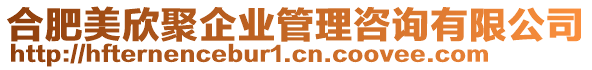 合肥美欣聚企业管理咨询有限公司