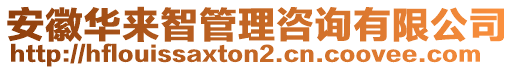 安徽華來智管理咨詢有限公司