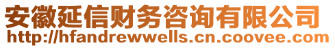 安徽延信財務(wù)咨詢有限公司