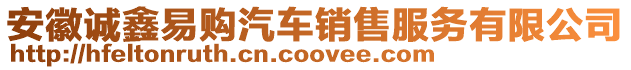 安徽誠鑫易購汽車銷售服務(wù)有限公司