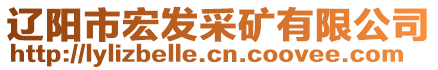 遼陽(yáng)市宏發(fā)采礦有限公司