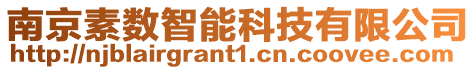 南京素數智能科技有限公司