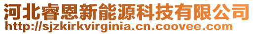 河北睿恩新能源科技有限公司