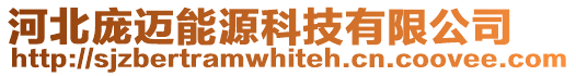 河北龐邁能源科技有限公司