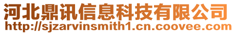 河北鼎訊信息科技有限公司