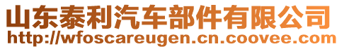 山東泰利汽車部件有限公司