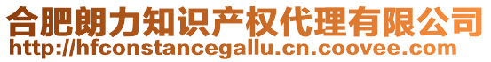 合肥朗力知識產(chǎn)權(quán)代理有限公司
