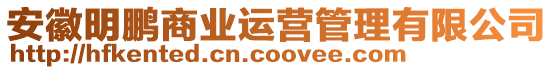 安徽明鵬商業運營管理有限公司