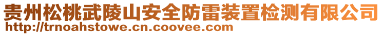 貴州松桃武陵山安全防雷裝置檢測有限公司