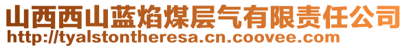 山西西山藍(lán)焰煤層氣有限責(zé)任公司