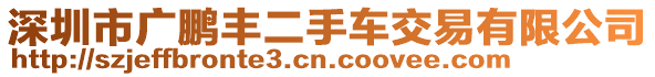 深圳市廣鵬豐二手車交易有限公司