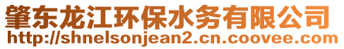 肇東龍江環(huán)保水務(wù)有限公司