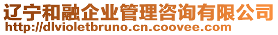 遼寧和融企業(yè)管理咨詢有限公司