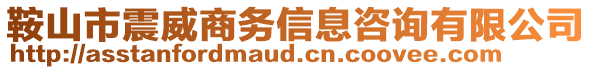 鞍山市震威商務(wù)信息咨詢有限公司