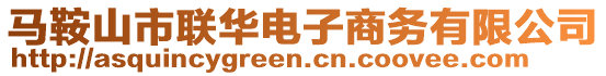 馬鞍山市聯華電子商務有限公司