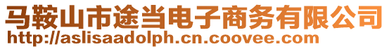 馬鞍山市途當電子商務有限公司