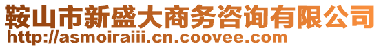 鞍山市新盛大商務(wù)咨詢有限公司