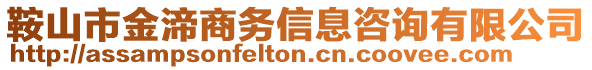 鞍山市金渧商務信息咨詢有限公司