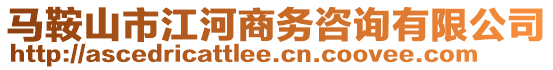 馬鞍山市江河商務(wù)咨詢有限公司