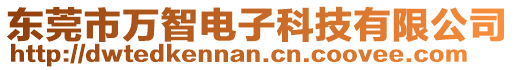 東莞市萬智電子科技有限公司