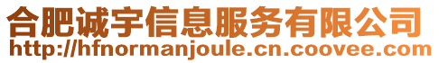 合肥誠宇信息服務(wù)有限公司