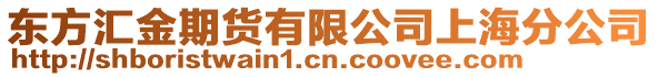 東方匯金期貨有限公司上海分公司