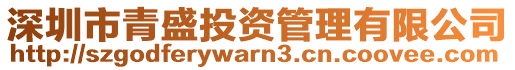 深圳市青盛投資管理有限公司