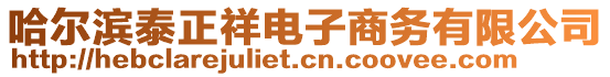 哈爾濱泰正祥電子商務(wù)有限公司