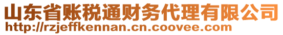 山東省賬稅通財(cái)務(wù)代理有限公司