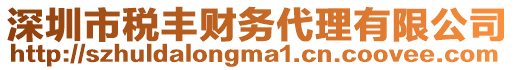 深圳市稅豐財(cái)務(wù)代理有限公司