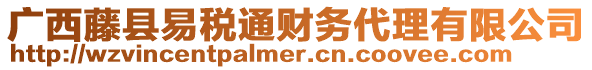 廣西藤縣易稅通財務(wù)代理有限公司