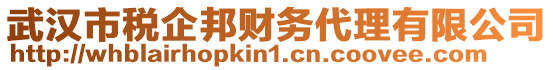 武漢市稅企邦財(cái)務(wù)代理有限公司