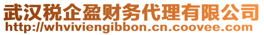 武漢稅企盈財(cái)務(wù)代理有限公司