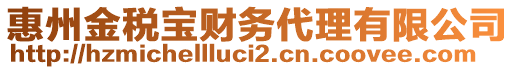 惠州金稅寶財(cái)務(wù)代理有限公司