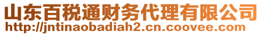 山東百稅通財(cái)務(wù)代理有限公司