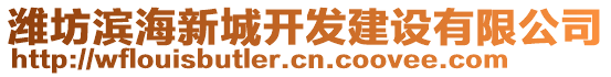 濰坊濱海新城開發(fā)建設(shè)有限公司