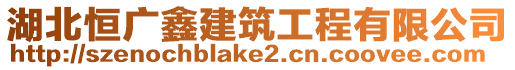 湖北恒廣鑫建筑工程有限公司