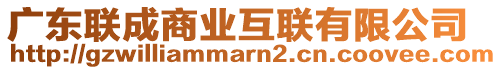 廣東聯(lián)成商業(yè)互聯(lián)有限公司