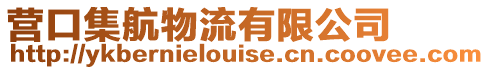 營口集航物流有限公司