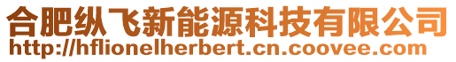 合肥縱飛新能源科技有限公司